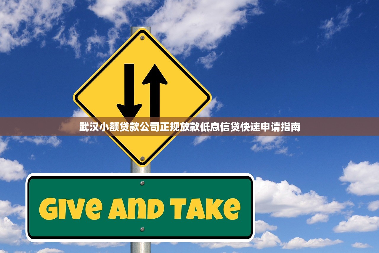 武汉小额贷款公司正规放款低息信贷快速申请指南 武汉小额贷款公司正规放款低息信贷快速申请指南