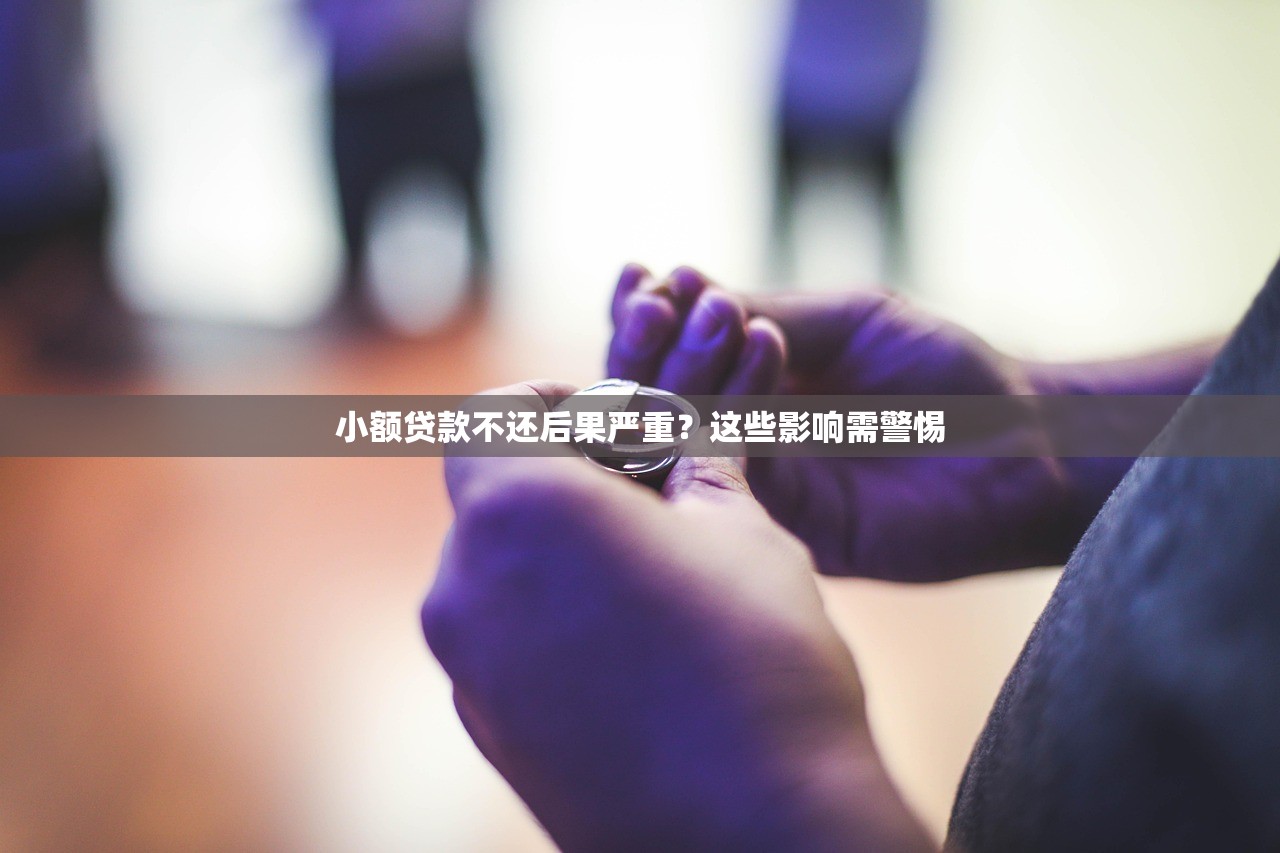 小额贷款不还后果严重?这些影响需警惕 小额贷款不还后果严重?这些影响需警惕