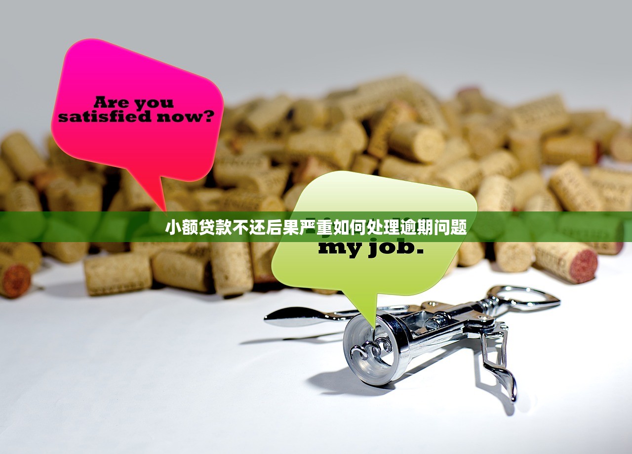 小额贷款不还后果严重如何处理逾期问题 小额贷款不还后果严重如何处理逾期问题