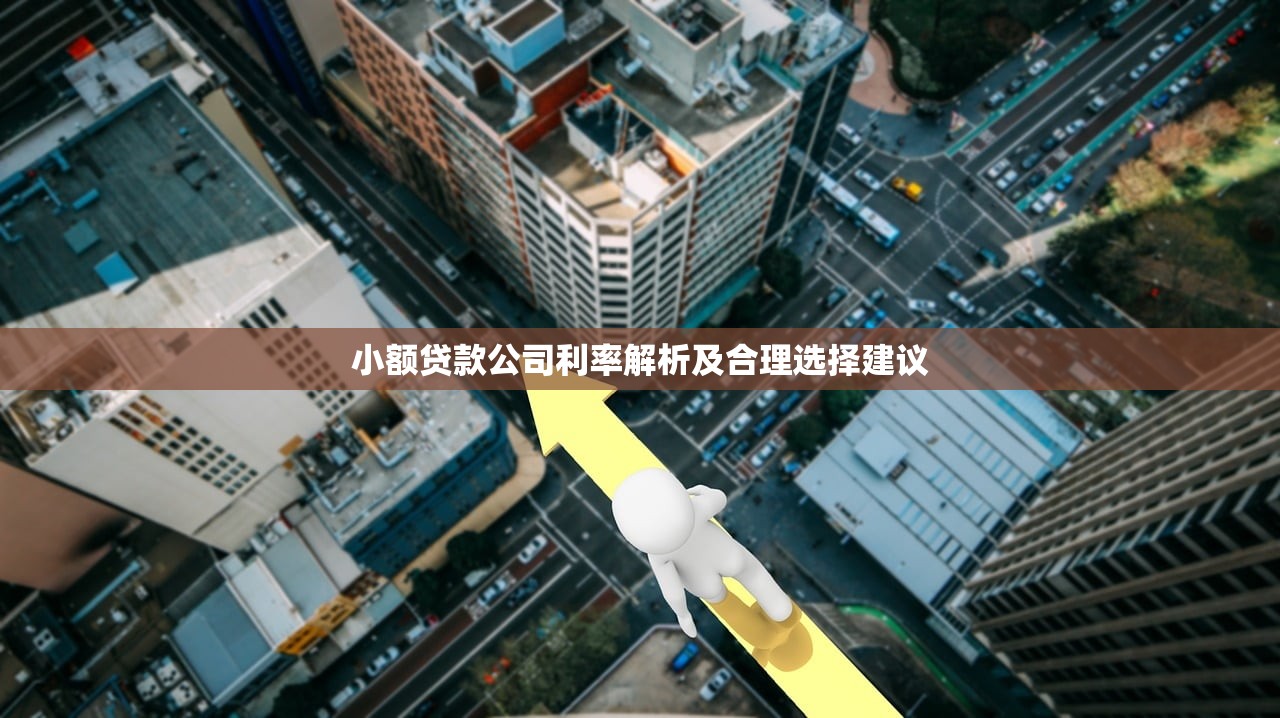 小额贷款公司利率解析及合理选择建议