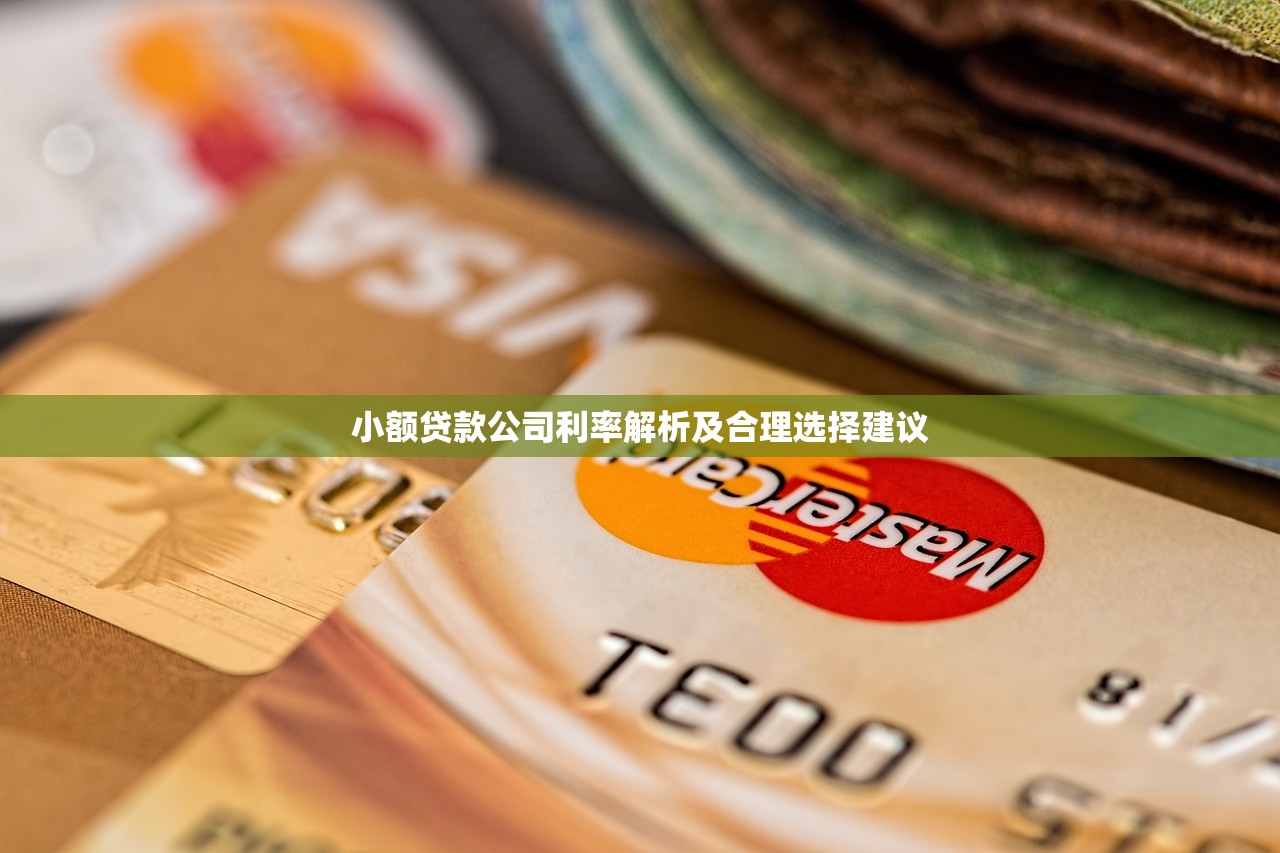 小额贷款公司利率解析及合理选择建议
