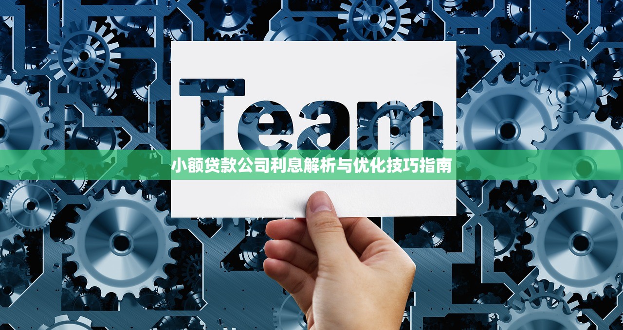 小额贷款公司利息解析与优化技巧指南