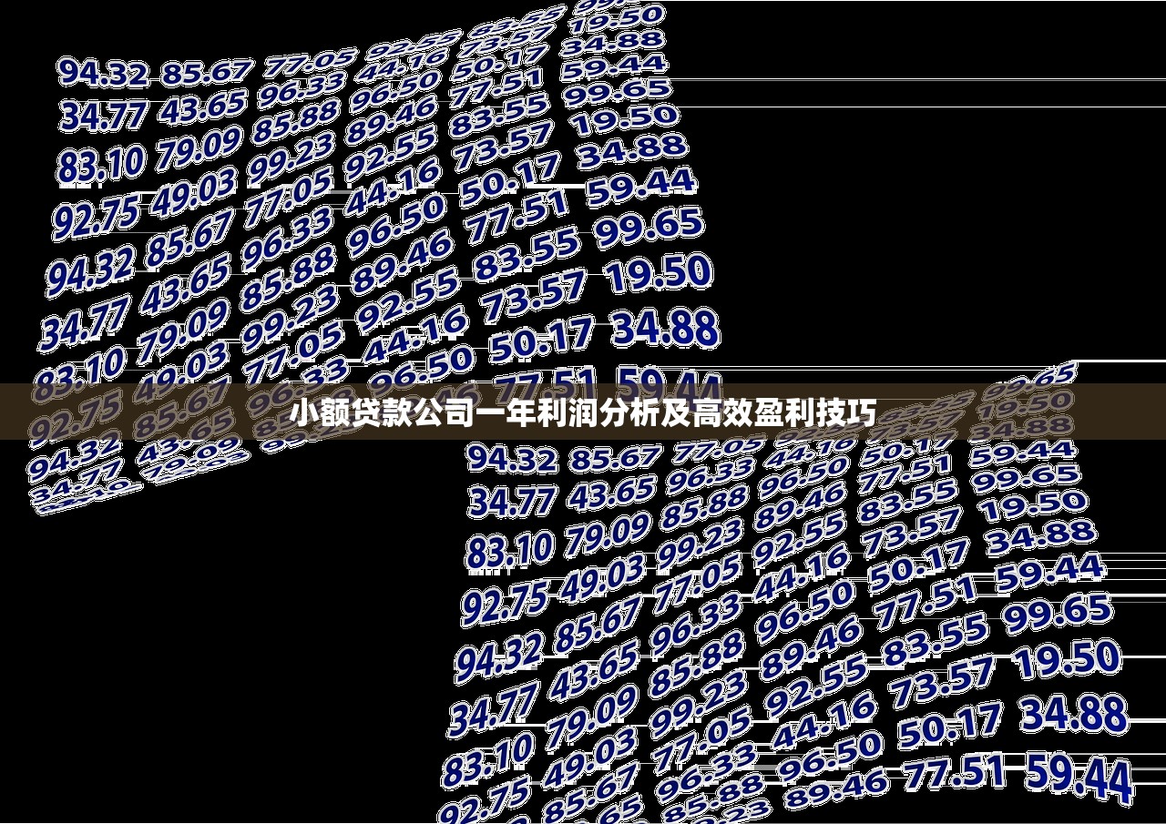 小额贷款公司一年利润分析及高效盈利技巧
