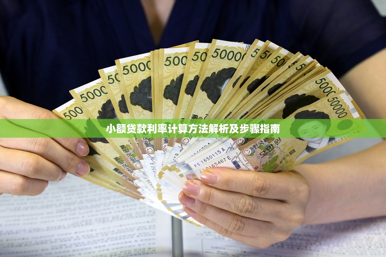 小额贷款利率计算方法解析及步骤指南