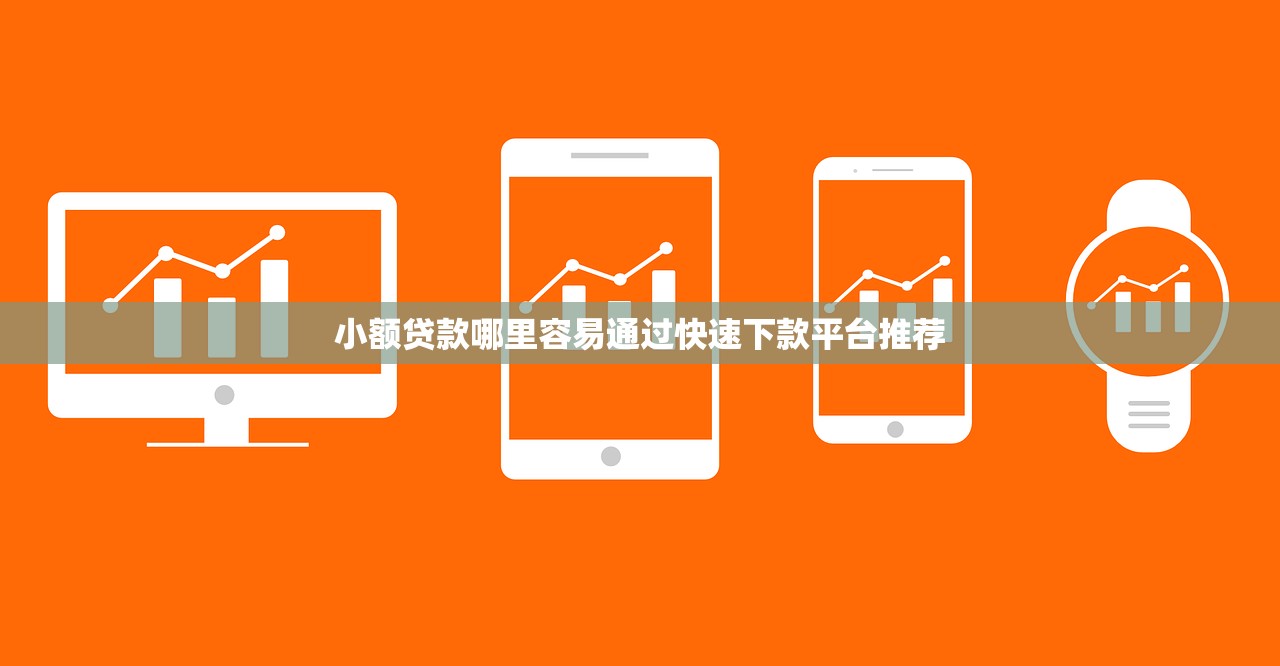 小额贷款哪里容易通过快速下款平台推荐