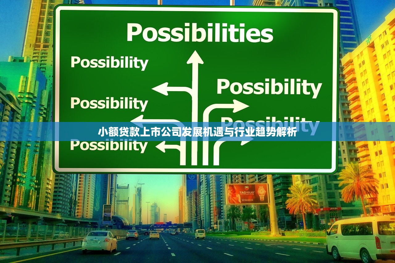 小额贷款上市公司发展机遇与行业趋势解析 小额贷款上市公司发展机遇与行业趋势解析