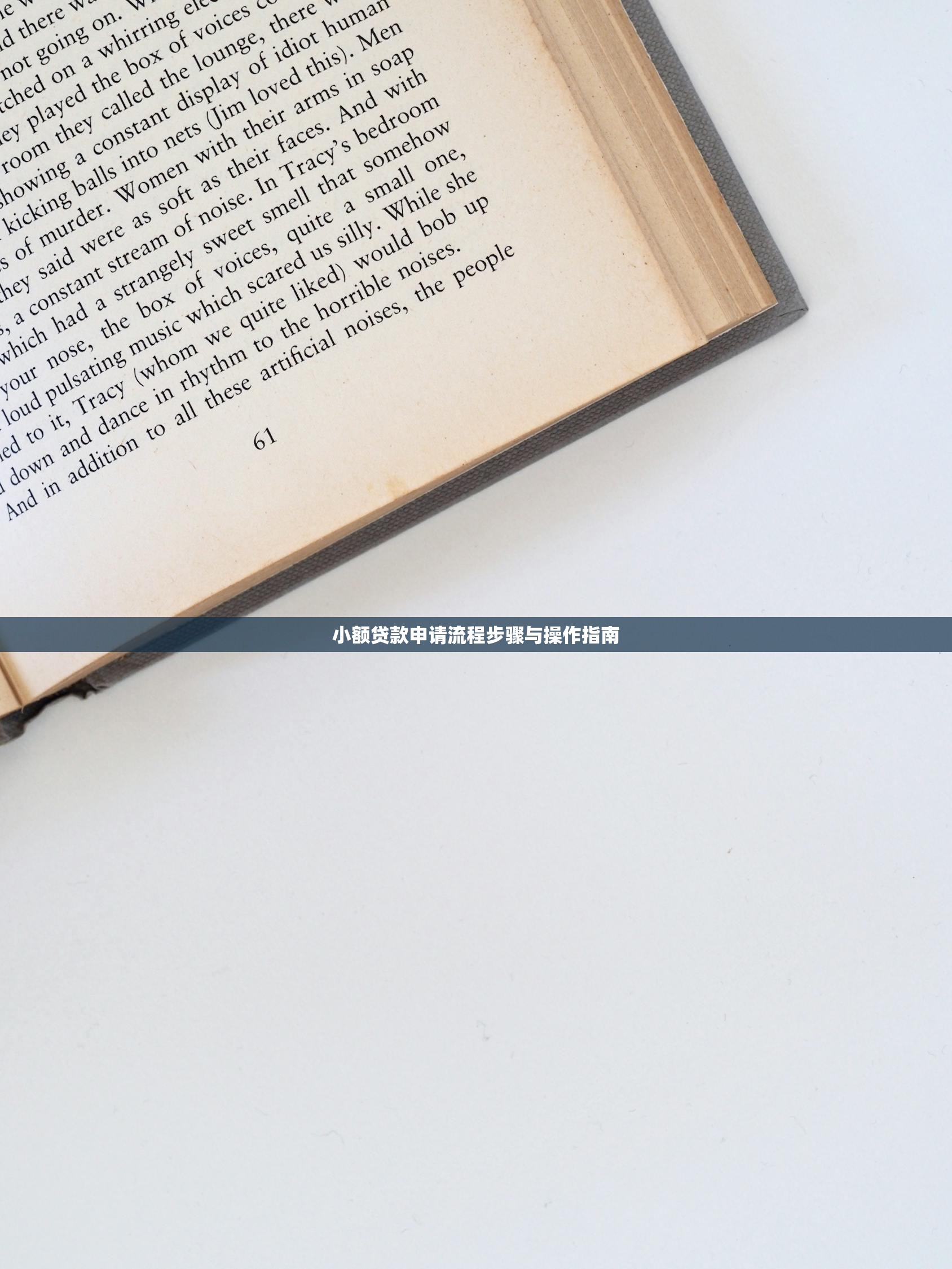 小额贷款申请流程步骤与操作指南