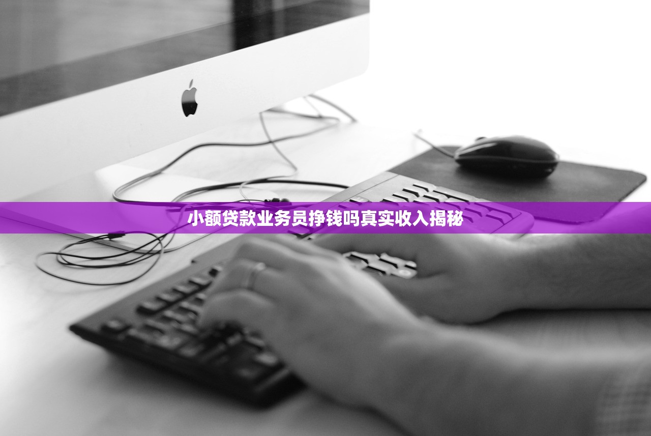 小额贷款业务员挣钱吗真实收入揭秘