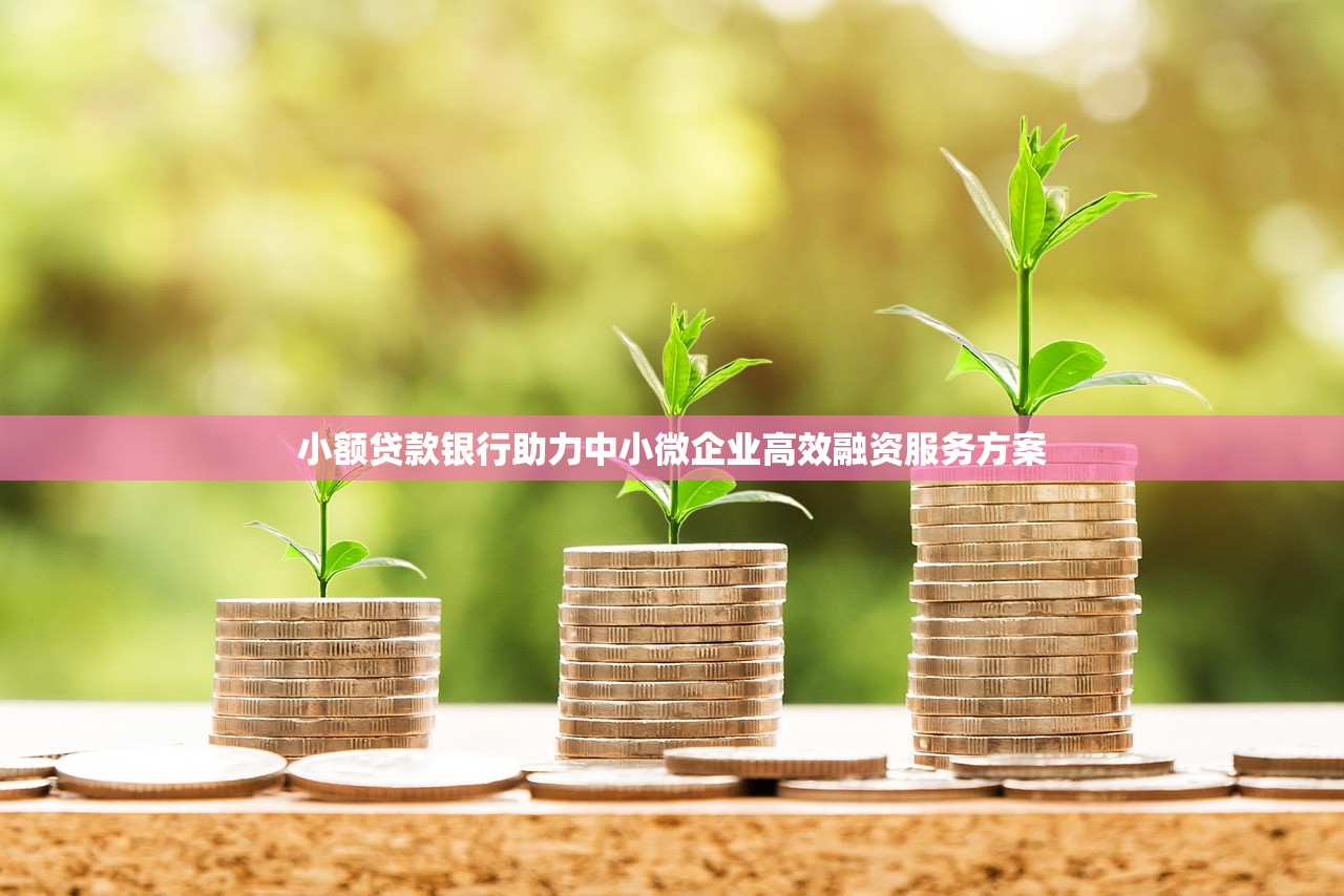 小额贷款银行助力中小微企业高效融资服务方案