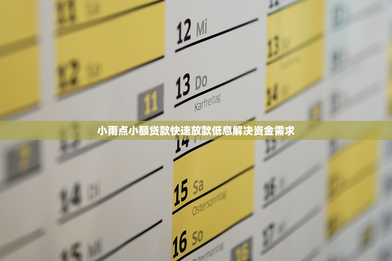 小雨点小额贷款快速放款低息解决资金需求