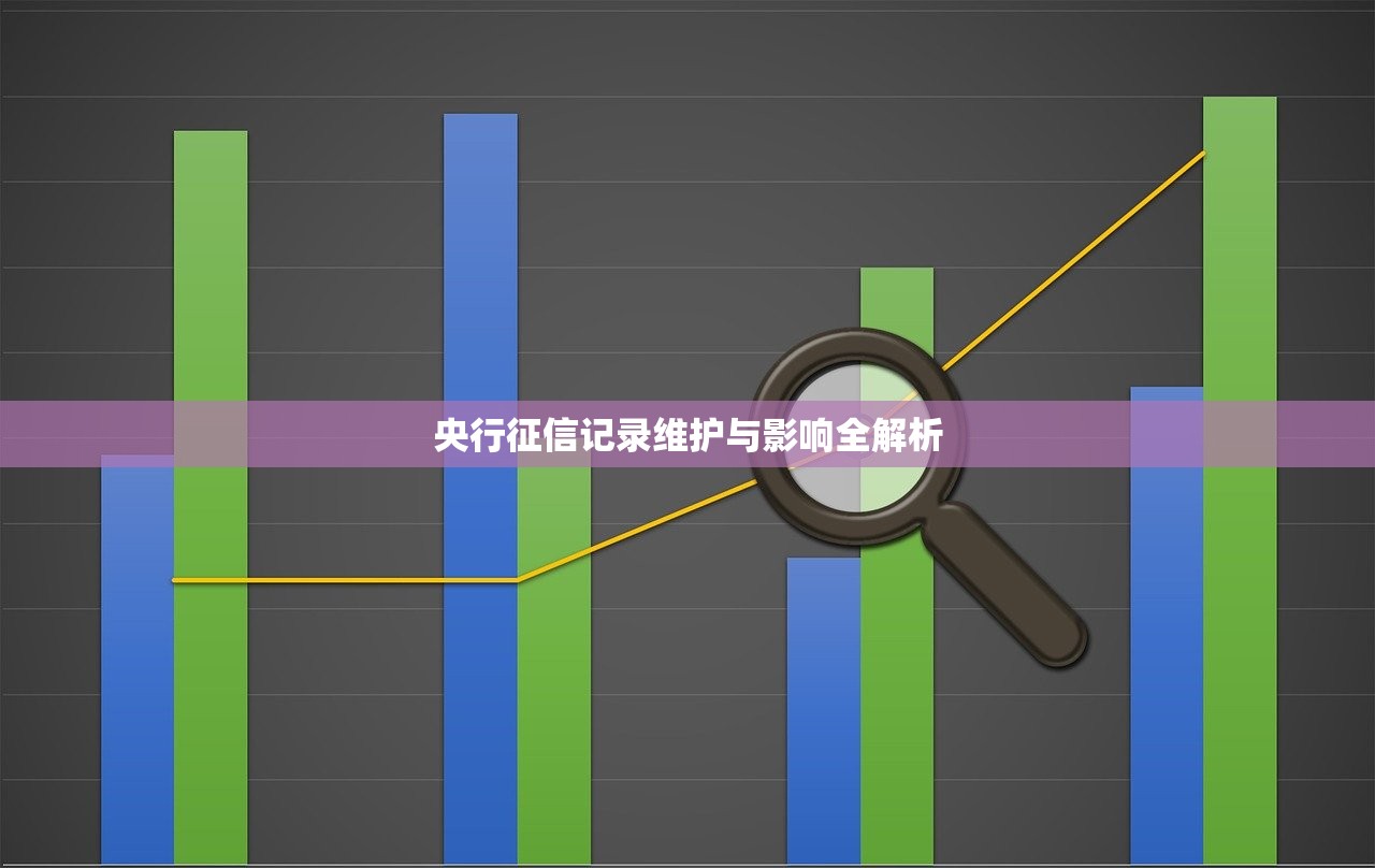 央行征信记录维护与影响全解析