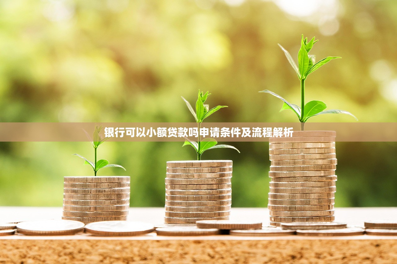 银行可以小额贷款吗申请条件及流程解析 银行可以小额贷款吗申请条件及流程解析