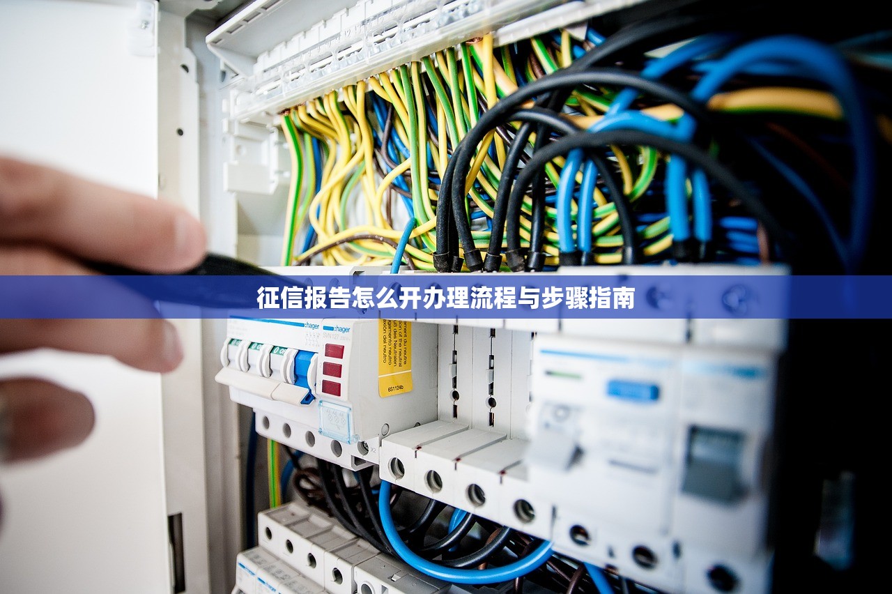 征信报告怎么开办理流程与步骤指南 征信报告怎么开办理流程与步骤指南