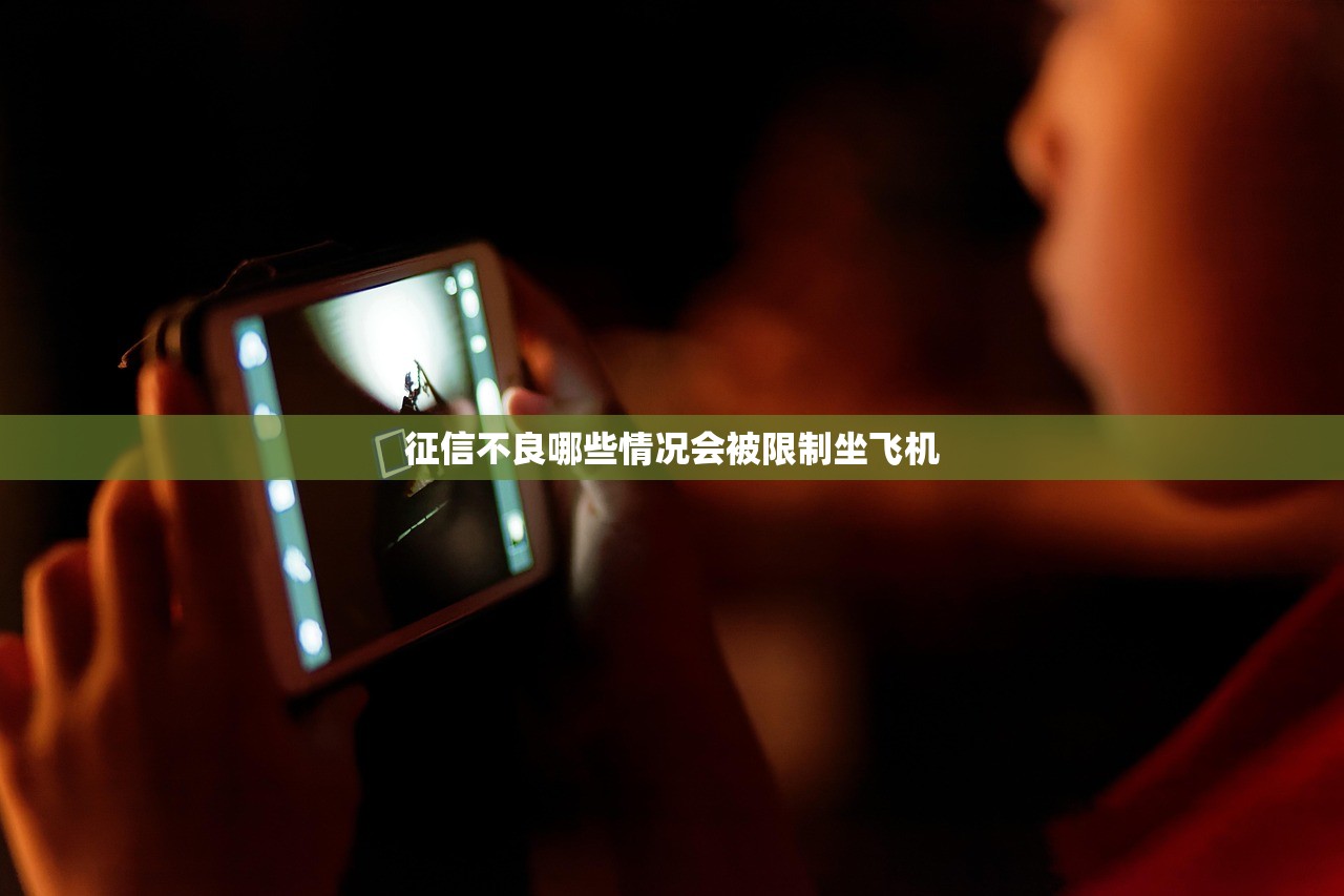 征信不良哪些情况会被限制坐飞机
