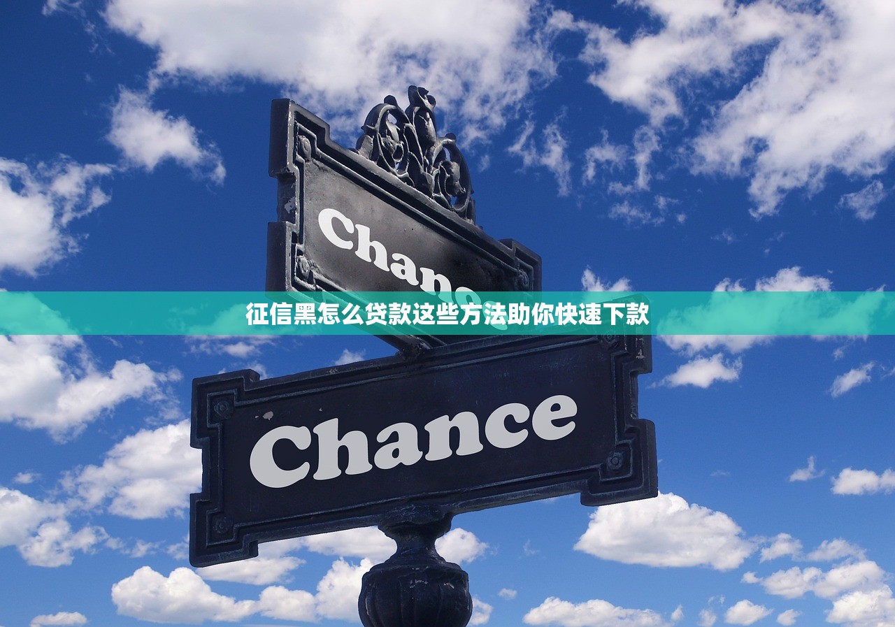 征信黑怎么贷款这些方法助你快速下款