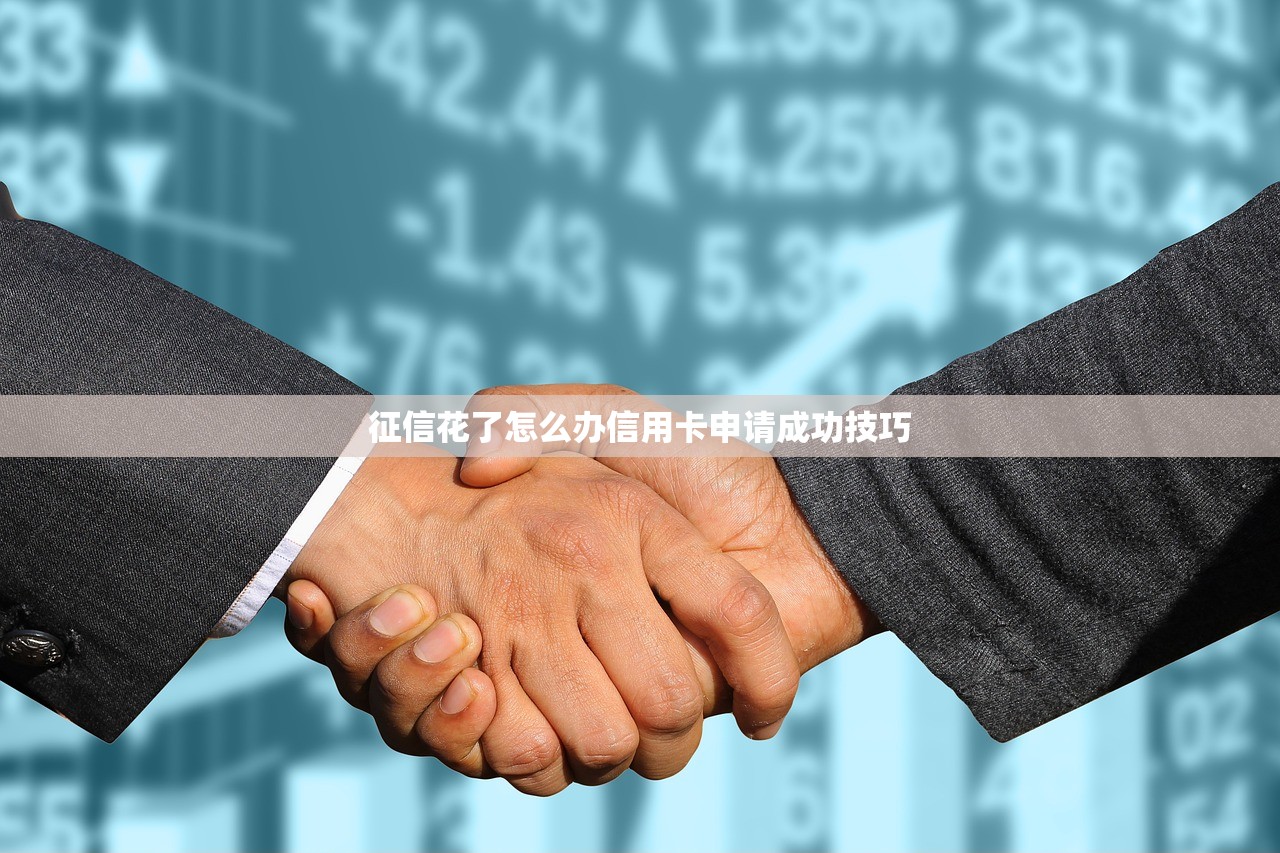 征信花了怎么办信用卡申请成功技巧