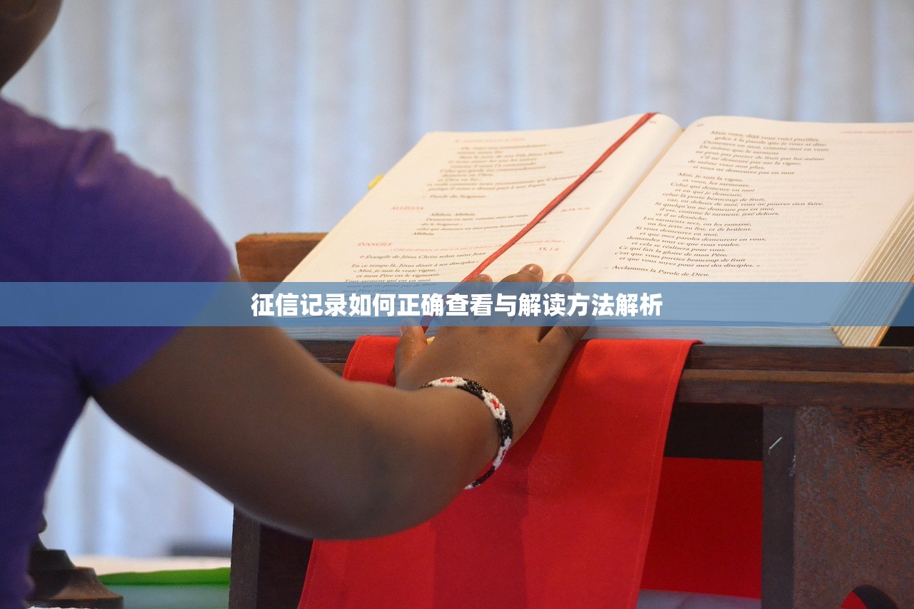 征信记录如何正确查看与解读方法解析 征信记录如何正确查看与解读方法解析