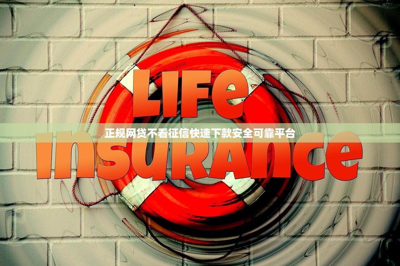 正规网贷不看征信快速下款安全可靠平台