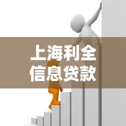 上海利全信息贷款平台：正规贷款服务与申请流程全解析