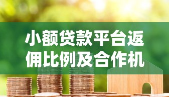 小额贷款平台返佣比例及合作机制解析
