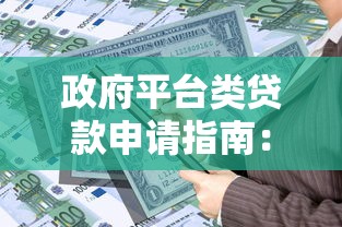 政府平台类贷款申请指南：低息政策与流程解析