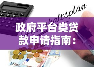 政府平台类贷款申请指南：低息政策与流程解析