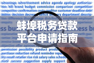 蚌埠税务贷款平台申请指南：条件、流程及常见问题解答