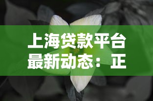 上海贷款平台最新动态：正规渠道与风险提示解读