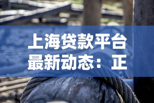 上海贷款平台最新动态：正规渠道与风险提示解读