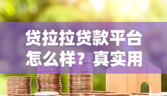 贷拉拉贷款平台怎么样？真实用户经验分享与申请攻略