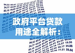 政府平台贷款用途全解析：哪些领域可以申请资金支持？