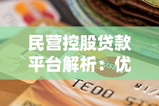 民营控股贷款平台解析：优势、风险与选择指南