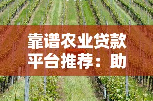 靠谱农业贷款平台推荐：助农贷款这样选更省心