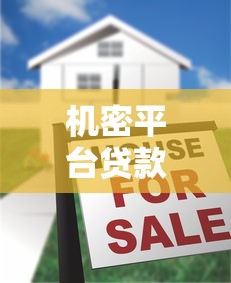 机密平台贷款：快速下款、低息借款的秘密渠道全解析