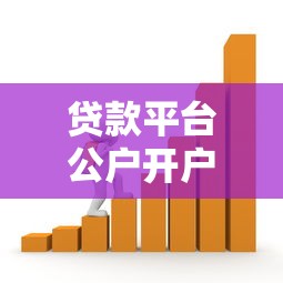 贷款平台公户开户流程与资金管理全解析