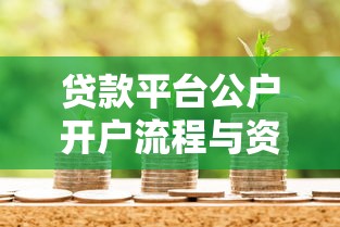 贷款平台公户开户流程与资金管理全解析