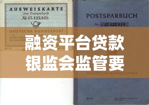 融资平台贷款银监会监管要点与风险防范指南
