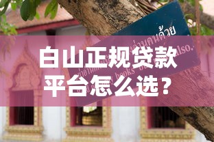 白山正规贷款平台怎么选？10年从业者教你避坑指南