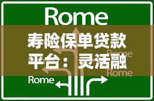 寿险保单贷款平台：灵活融资新选择