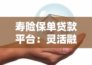 寿险保单贷款平台：灵活融资新选择