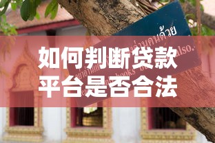 如何判断贷款平台是否合法？这5个避坑技巧一定要看