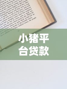 小猪平台贷款申请全攻略：条件、流程、注意事项详解