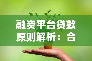 融资平台贷款原则解析：合规风控与高效融资指南