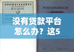 没有贷款平台怎么办？这5个靠谱渠道也能解决资金需求