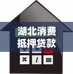湖北消费抵押贷款平台申请指南：条件、流程、利率详解