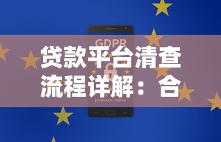 贷款平台清查流程详解：合规检查与用户权益保护指南