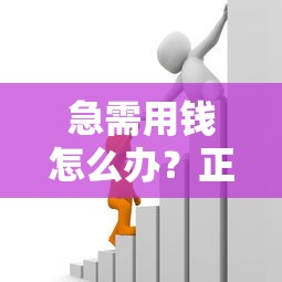 急需用钱怎么办？正规贷款平台挑选指南及避坑攻略