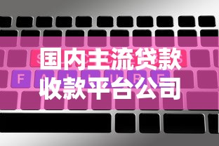 国内主流贷款收款平台公司盘点及选择指南