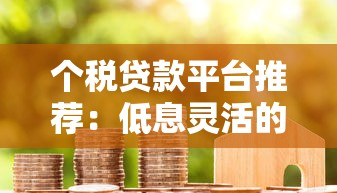 个税贷款平台推荐：低息灵活的个人税务贷申请攻略