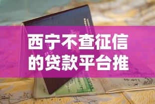 西宁不查征信的贷款平台推荐及申请指南